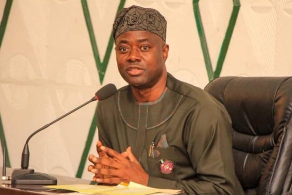 Oluwaseyi-Makinde Svg%3E