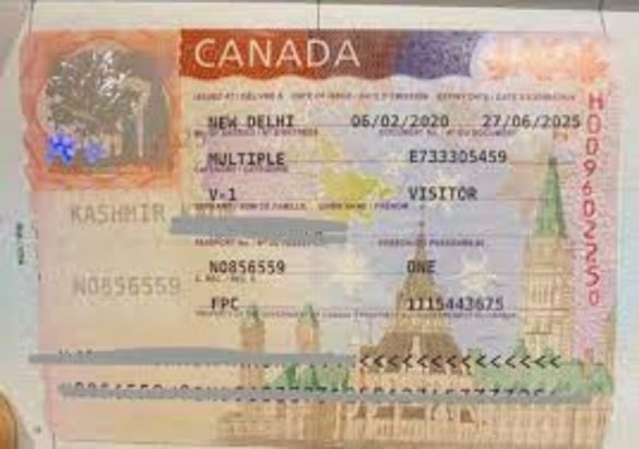 Canadian Visa (1) Svg%3E