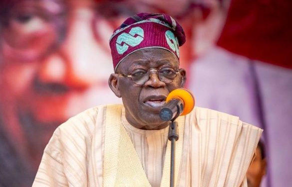 Bola Tinubu, President-elect Svg%3E