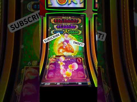 wildsino review