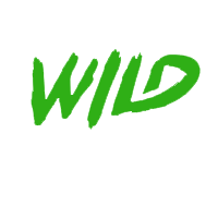 wildsino bonus